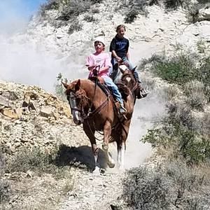 Meet your Posher, Shelly seth